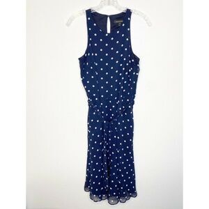 Banana Republic Blue Silk Polka Dot Dress Blue and White Size 2 Tall